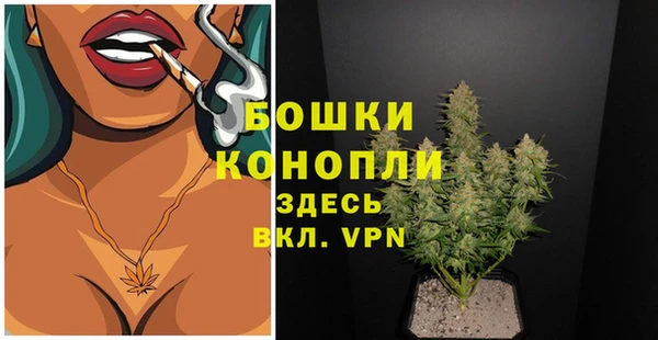 дурь Аркадак