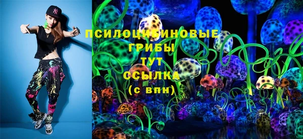 дурь Аркадак