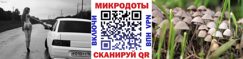 Псилоцибиновые грибы прущие грибы Дорогобуж